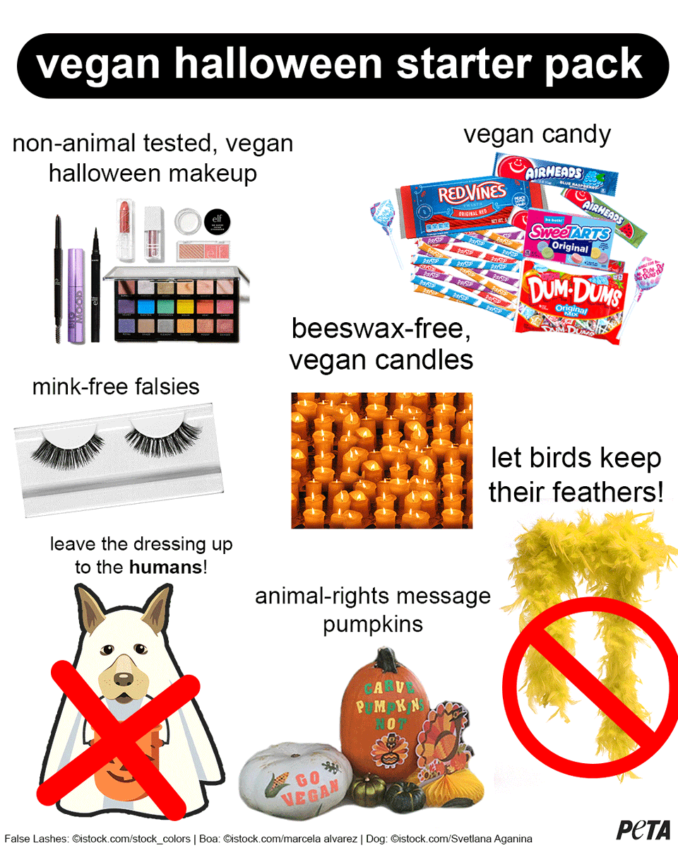 Creep it real by celebrating a vegan #Halloween this year &amp; every year 🎃💄🕯🍭