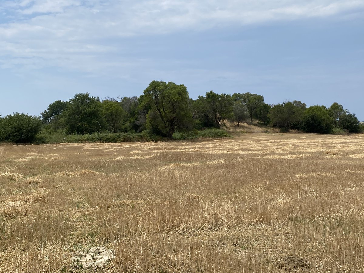 Little Gully Publishing tweet media