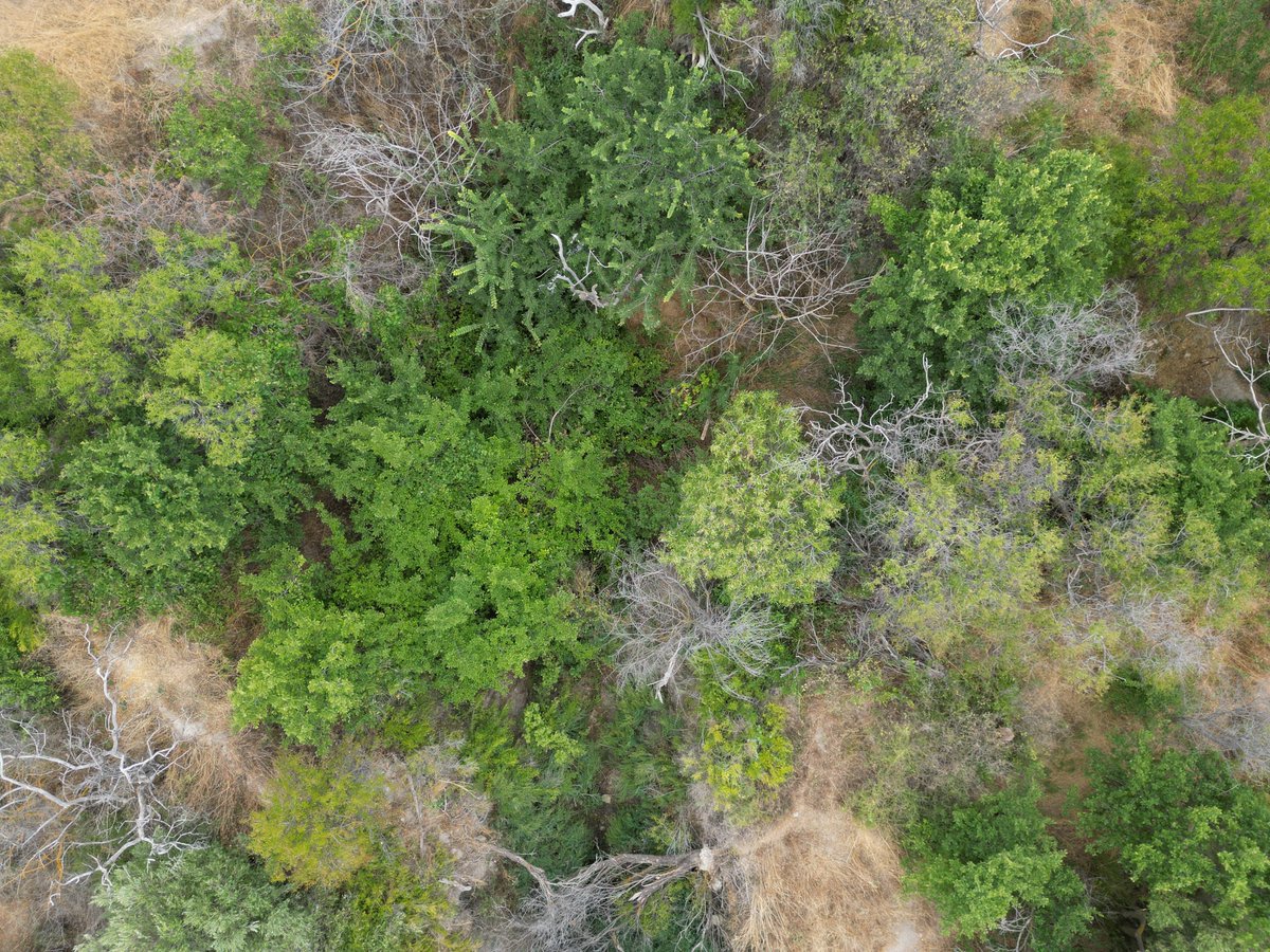 Little Gully Publishing tweet media