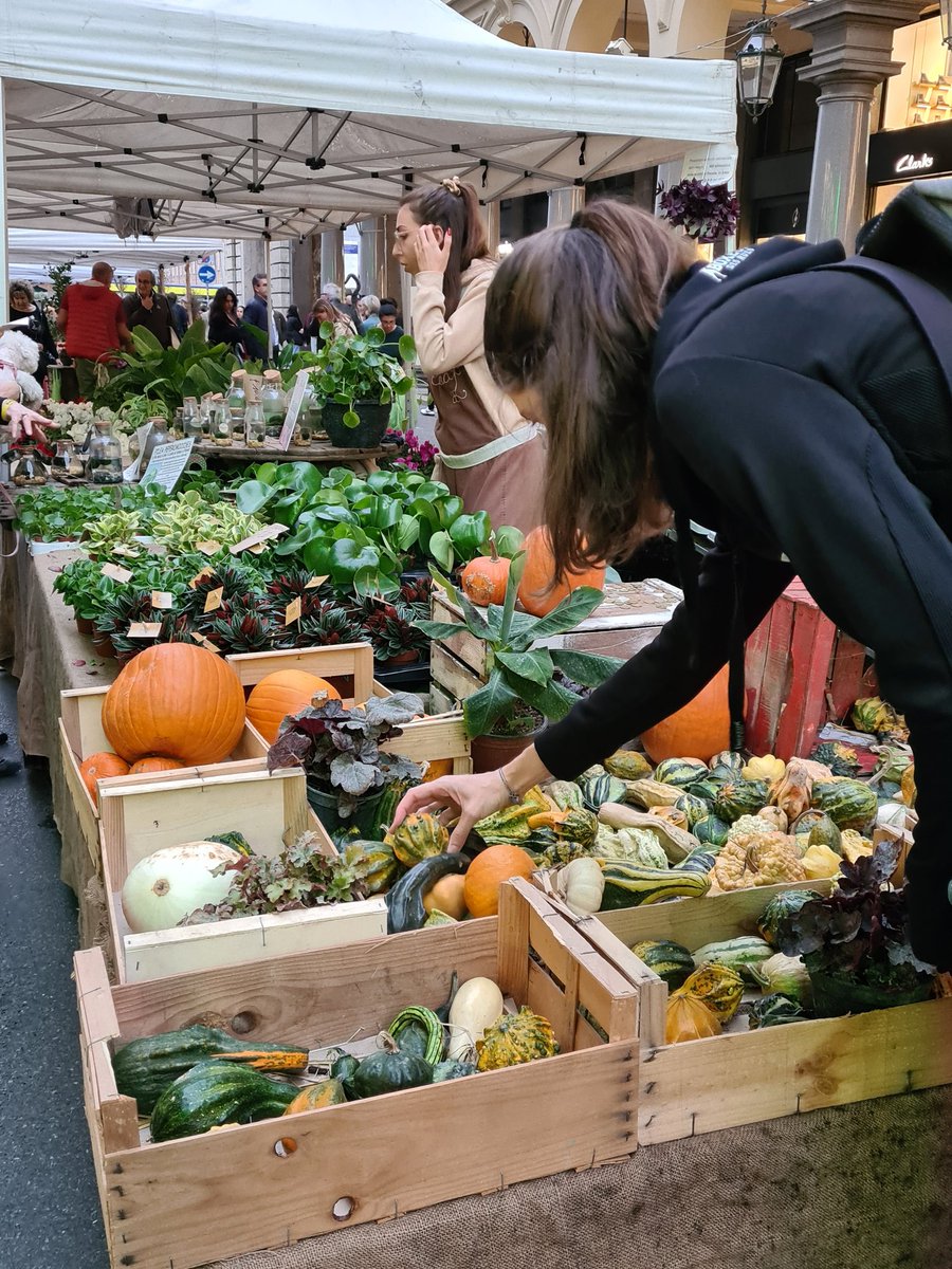 turinepi's tweet photo. #hiitworkout done in #turin ready to #yoga 🐒 https://t.co/0WPD6Q9Sor #SearchingforItaly #torino #walkingtours #tastings #privateclasses #falldestinations #bicerin #risotto #experientialtours #pilates #chocoholics #winelovers #cheeselovers #italianclasses #vermouth https://t.co/h2cpNnIvwH
