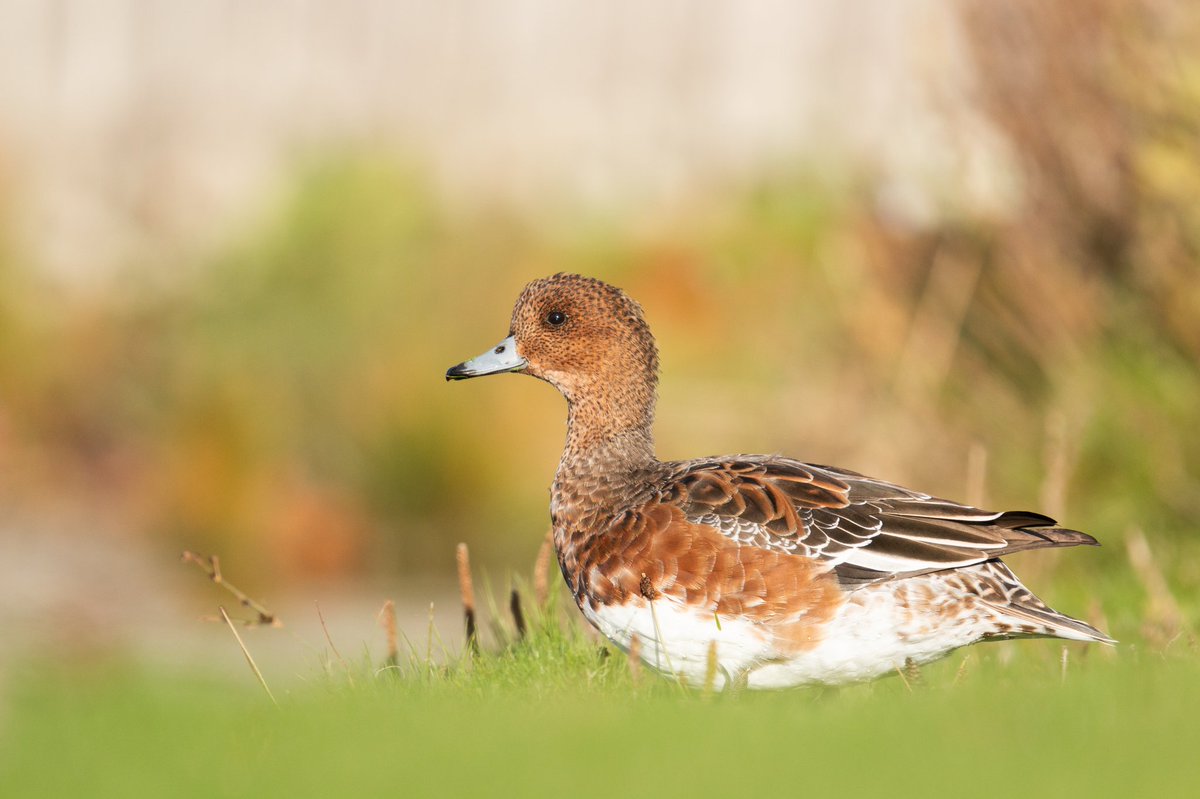 UnaxePictures tweet media