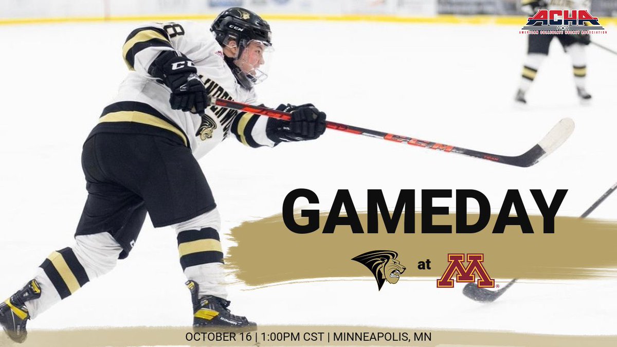 🚨GAME DAY🚨 
Game two against Minnesota starts at 1pm CST. 
Tune in to our Facebook live to watch!!📺