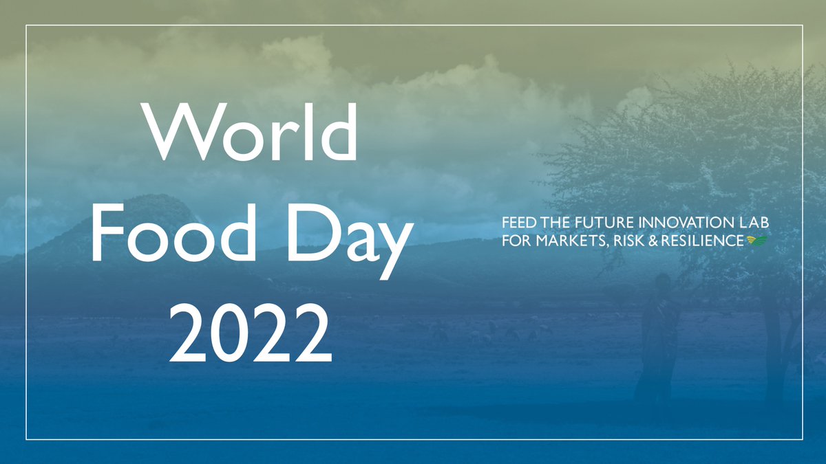 Our global food systems have suffered a number of recent shocks including drought, conflict and the COVID-19 pandemic, pushing already struggling rural households into crisis.
<a href="/FAO/">Food and Agriculture Organization</a> #WorldFoodDay <a href="/ucdavisCAES/">CA&ES, UC Davis</a> <a href="/FeedtheFuture/">Feed the Future</a>