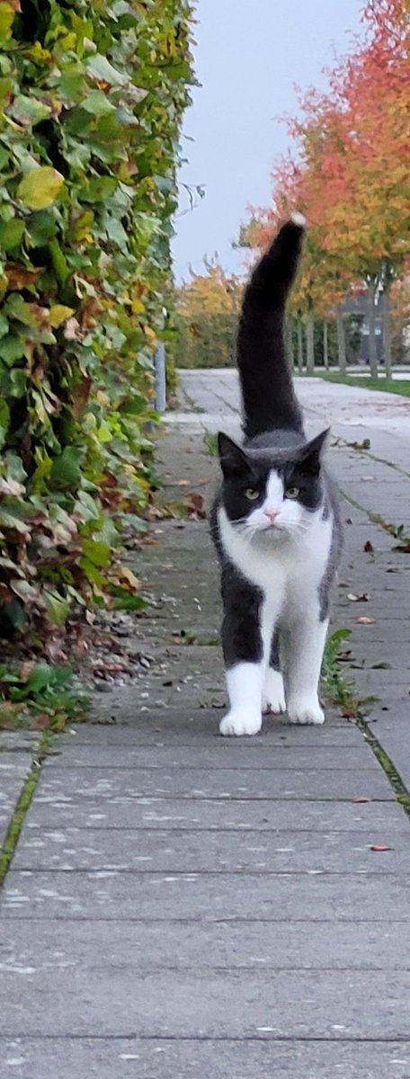 UnaxePictures tweet media