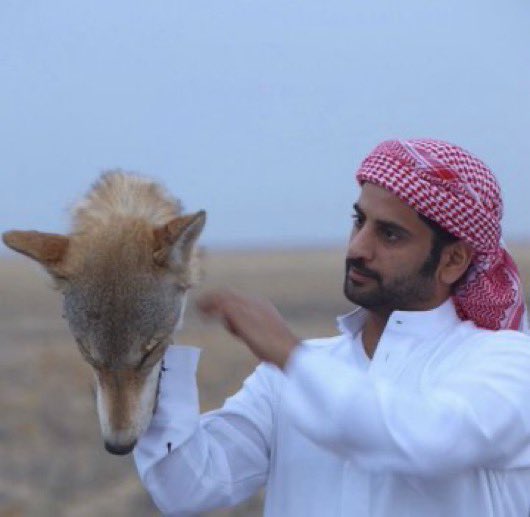 saeeg_83's tweet photo. خذني من يديني بلا مقدمات
أنا صديق أقسى الدروب وخلها 

أنا جهة بلحالها غير الجهات
تكسرني الدنيا وأنا اعدل لها

#سعد_علوش 
@Saad3alosh https://t.co/mpJD8p3CVs