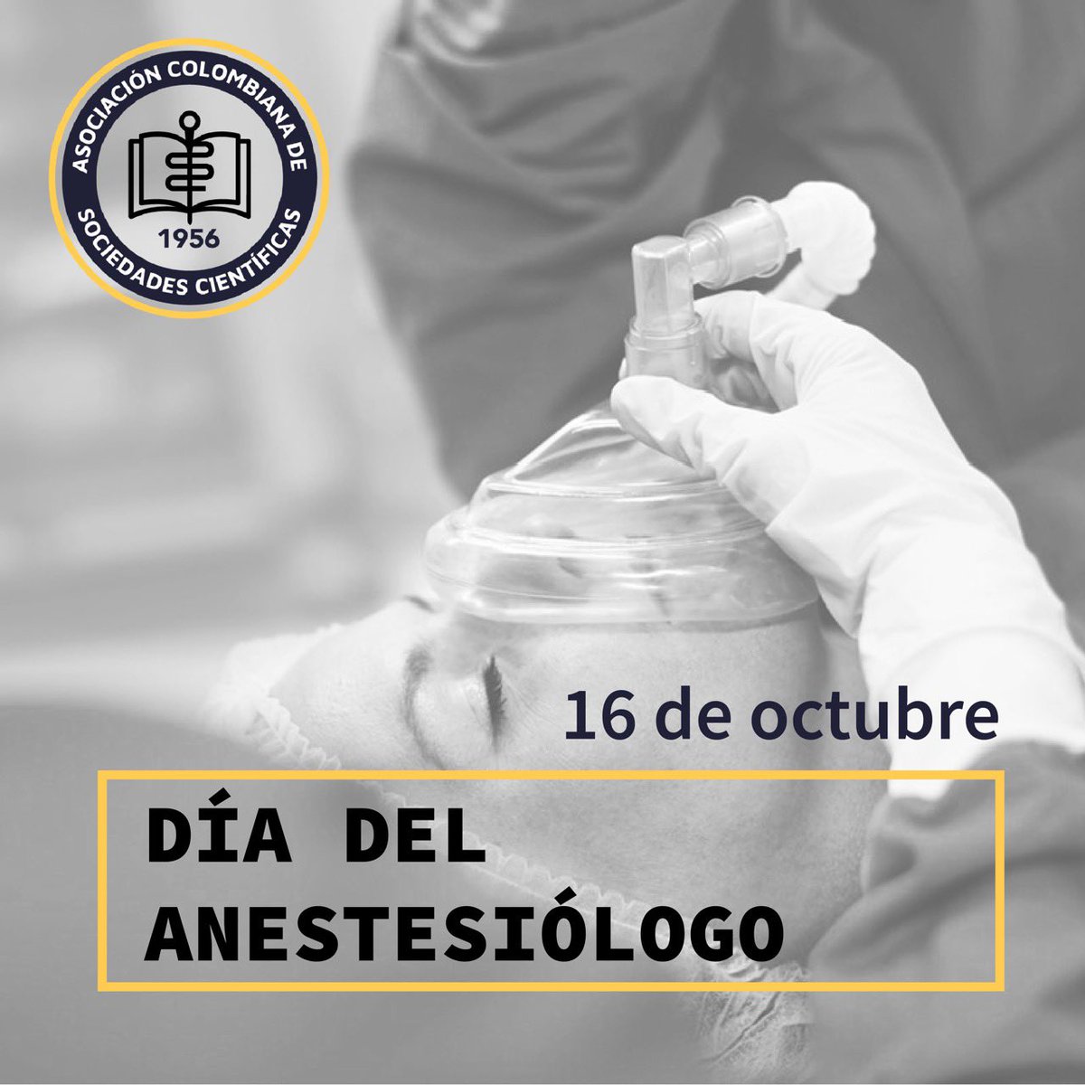 LabCBMU (@labcbmu) on Twitter photo Vanessa Gonzalez @IsabelLondonoM <a href="/vargas_patron/">Luis Vargas-Patron, MD</a> <a href="/JuanGRipoll1/">Juan G. Ripoll, MD</a> <a href="/andresdelima/">Andres de Lima</a> <a href="/jcdiazsoto/">Juan C. Diaz Soto</a> <a href="/vanessagonza/">Kate Kidd</a> Vanessa Gonzalez @IsabelLondonoM <a href="/vargas_patron/">Luis Vargas-Patron, MD</a> <a href="/JuanGRipoll1/">Juan G. Ripoll, MD</a> <a href="/andresdelima/">Andres de Lima</a> <a href="/jcdiazsoto/">Juan C. Diaz Soto</a> <a href="/vanessagonza/">Kate Kidd</a>