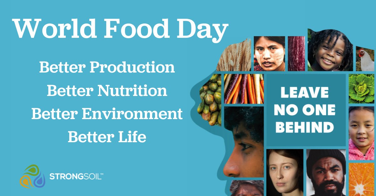 Worldwide, 3.1 billion people can't access a healthy diet. Facing a global hunger crisis, we must work together for a sustainable food supply. StrongSoil helps by restoring soil heath which can lead to higher crop yields. #WorldFoodDay #soilhealth #regenerativeagriculture