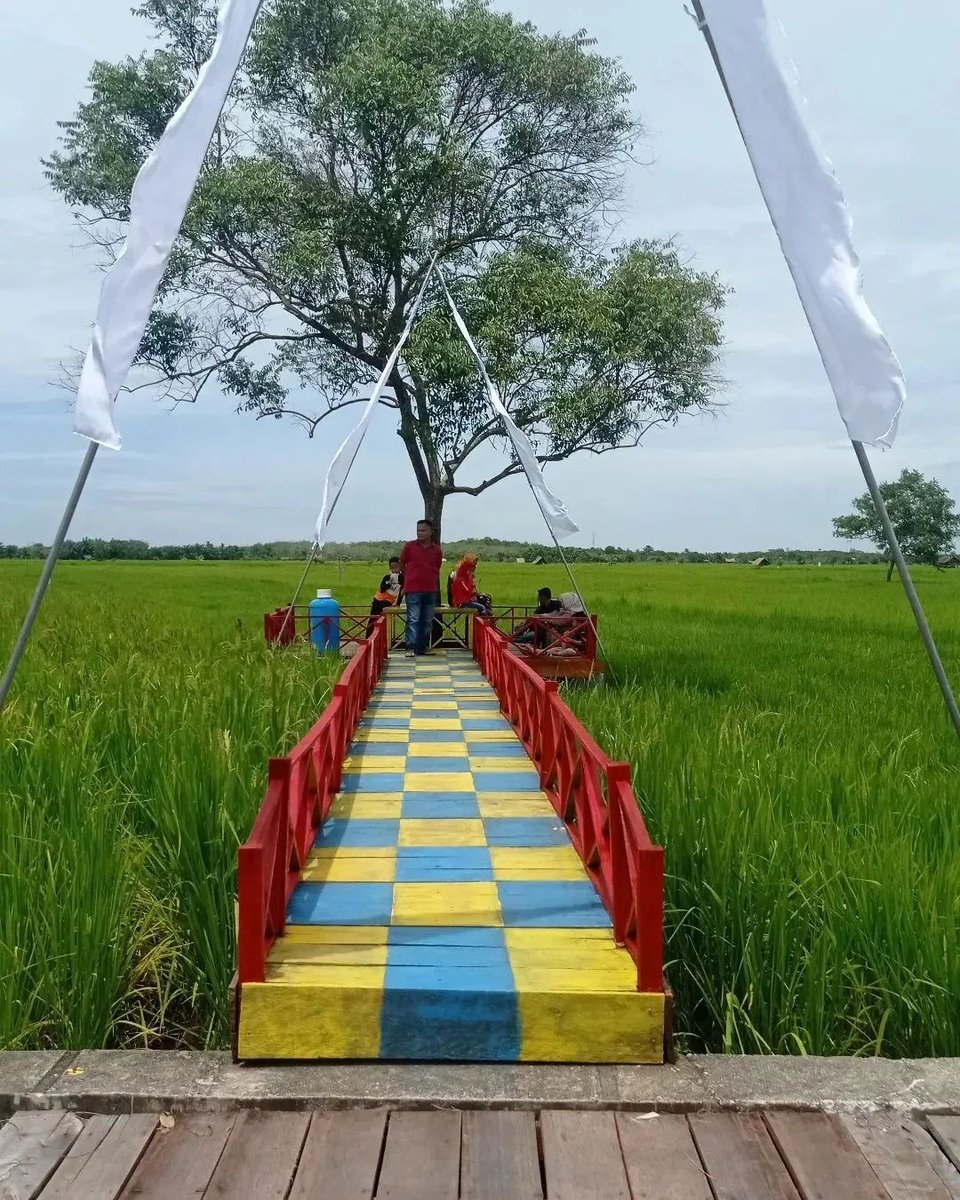 SayeBudaye's tweet photo. Miko ado ke sini tadi sedagho?
Ke event Wisata Sawah Mentayan 2022
Unggah ulang : @ bengkalisku
#wisatasawahmentayan #bengkalisku #explorebengkalis #genpibengkalis #mentayan #bantan #bengkalis #riau https://t.co/PlnBqSVCyJ