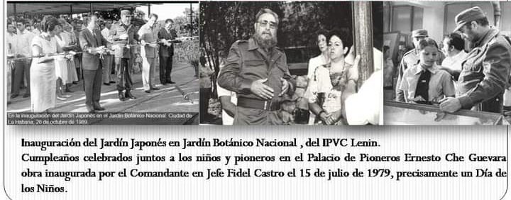 Empresa Filial Municipal Comercio Arroyo Naranjo (@arroyocomercio) on Twitter photo 