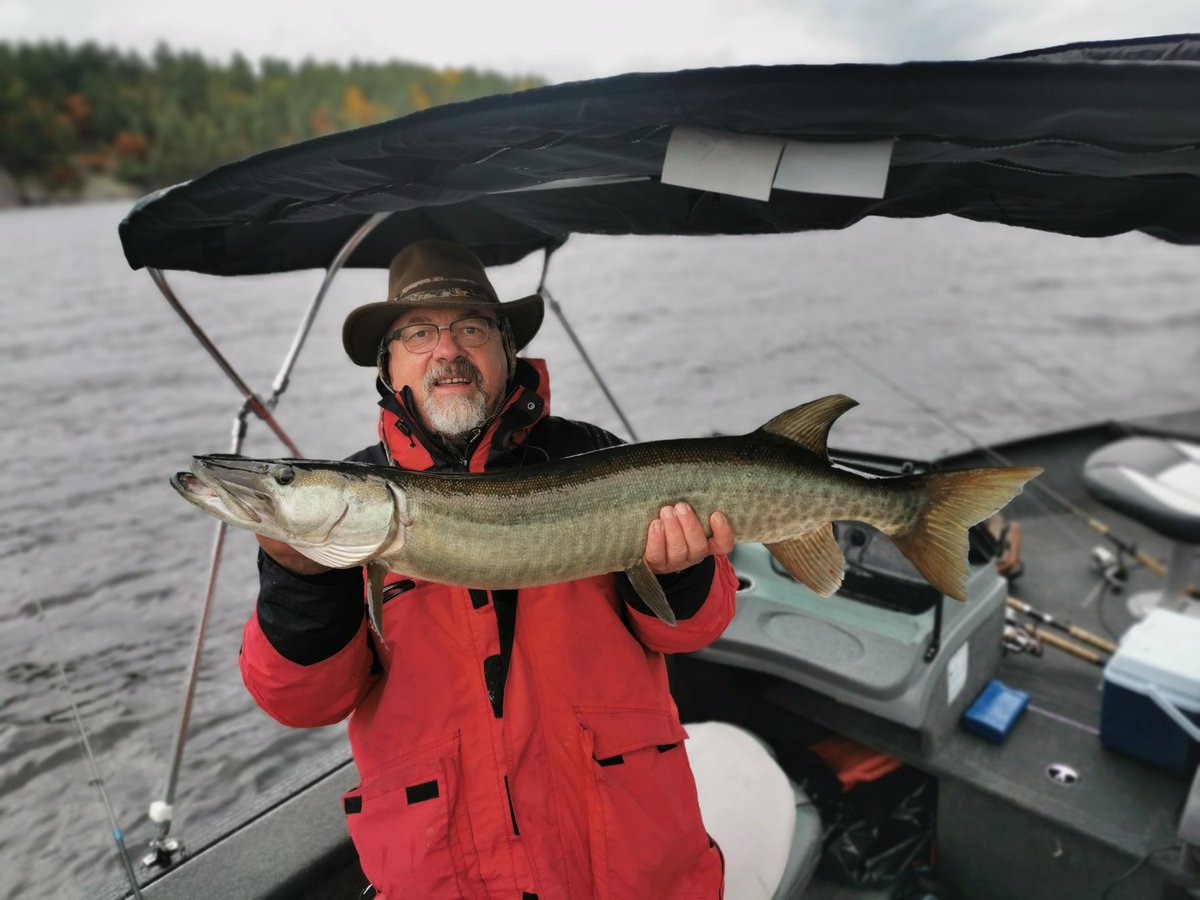 Beautiful 36 - 38 inch #catchnreleased.

Still time to reel in the fun. Openings between now and
the 24th!

Photo By: Oljeg Pajkic

#FishingFrenchRiver