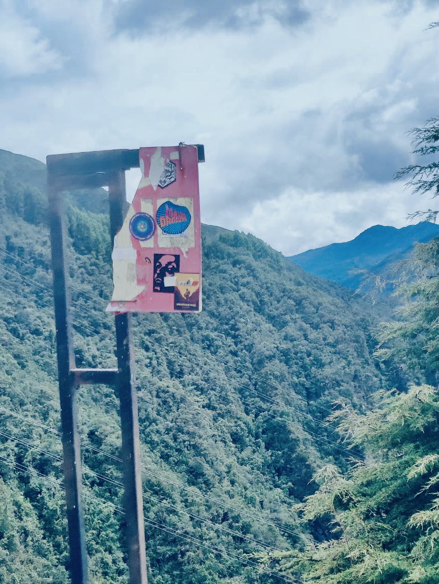 schellingpoint_'s tweet image. #SchellingPoint reaching new heights on top of Guadalupe Hill ⛰🌱

📷 @notscottmoore