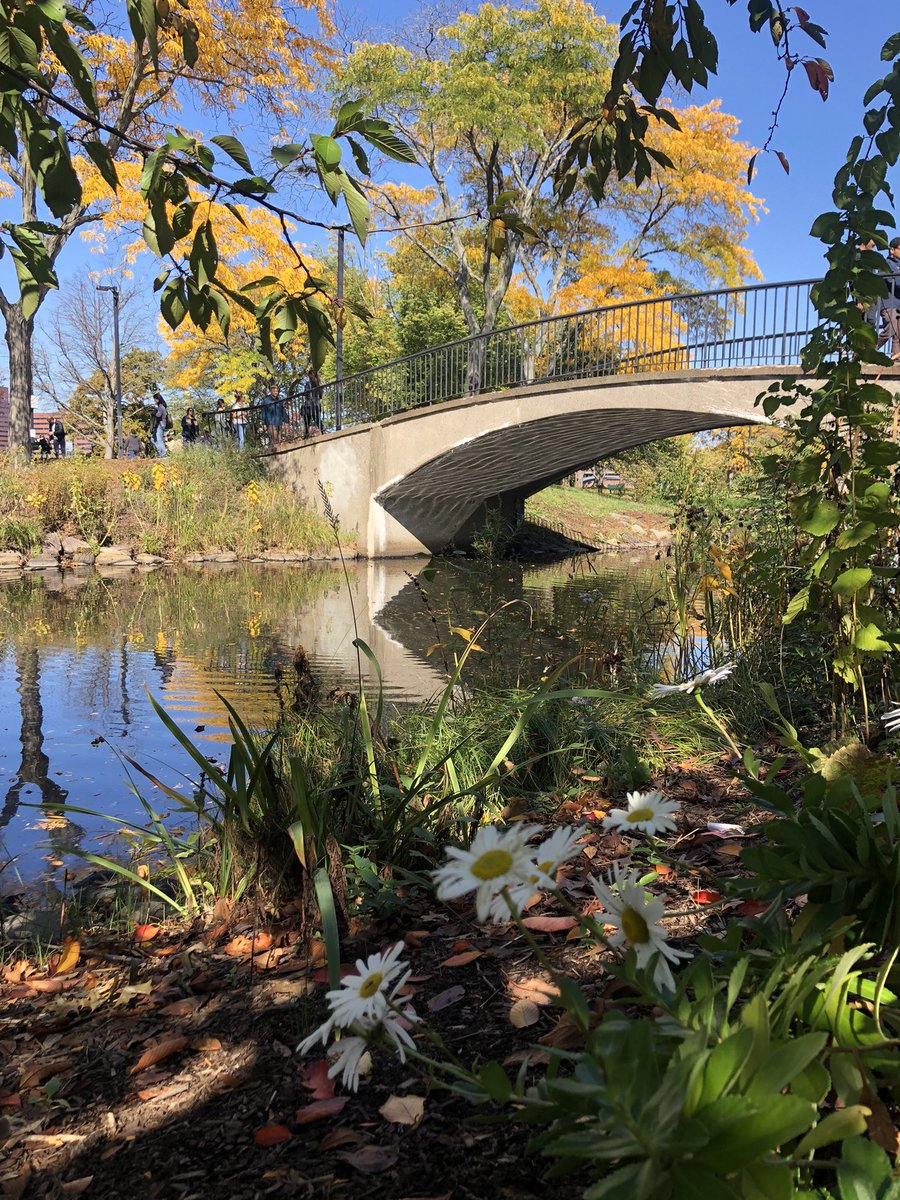 Emjay1028's tweet photo. Could the #Esplanade be any prettier? I admit, my heart is still for cherry blossoms and daffodils time but #fall is pretty spectacular! #ViewFromMorningRun #SundayRunday #Boston https://t.co/ROGf0duMtY