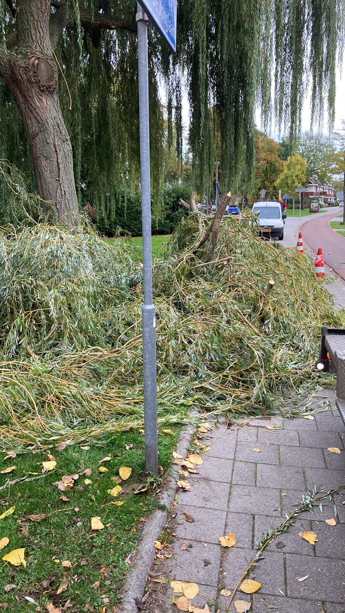 Ad Berger tweet media