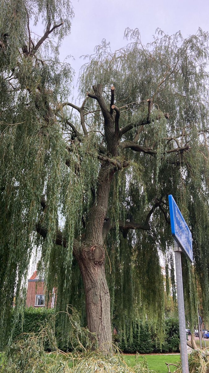 Ad Berger tweet media