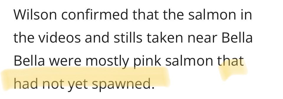 riverperkin's tweet photo. @Shaun28751521 @UPBeachBum @SolomonRDavid @MiMagaWatch I grew up in the PNW, have been watching salmon spawn my whole life &amp; am also a fish bio. Those are clearly pre-spawn fish. https://t.co/n4EahaeSuJ https://t.co/fVoB4DSldp