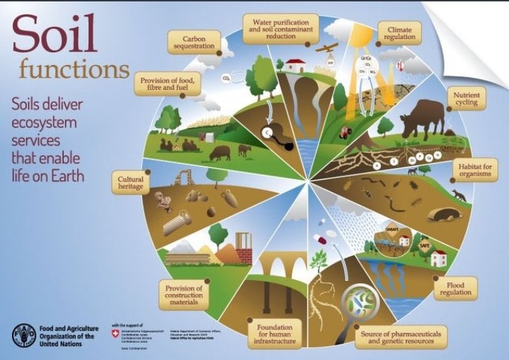 pargaien's tweet photo. Why the #SoilHealth is crucial for us? 
There is a new world and a unique ecosystem under the soil.
#SaveSoil #SaveSoilMovement #SaveSoilSaveEnvironment  @cpsavesoil @theGSBI @FAOForestry @UNEP @IUCN @ishafoundation @SoilSuperHeroes @FAOclimate https://t.co/9tMARjUcYS