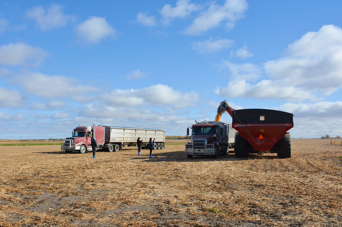 ndcorn's tweet photo. This morning, @ndcorn Board Member Justin Quandt hosted a trade delegation from Japan at his family farm in Oakes. He shared how technology plays important role in producing a high quality crop, before the team got a ride in the combine to get a closer look at harvest.
#exex22 https://t.co/x0jXlGmth9