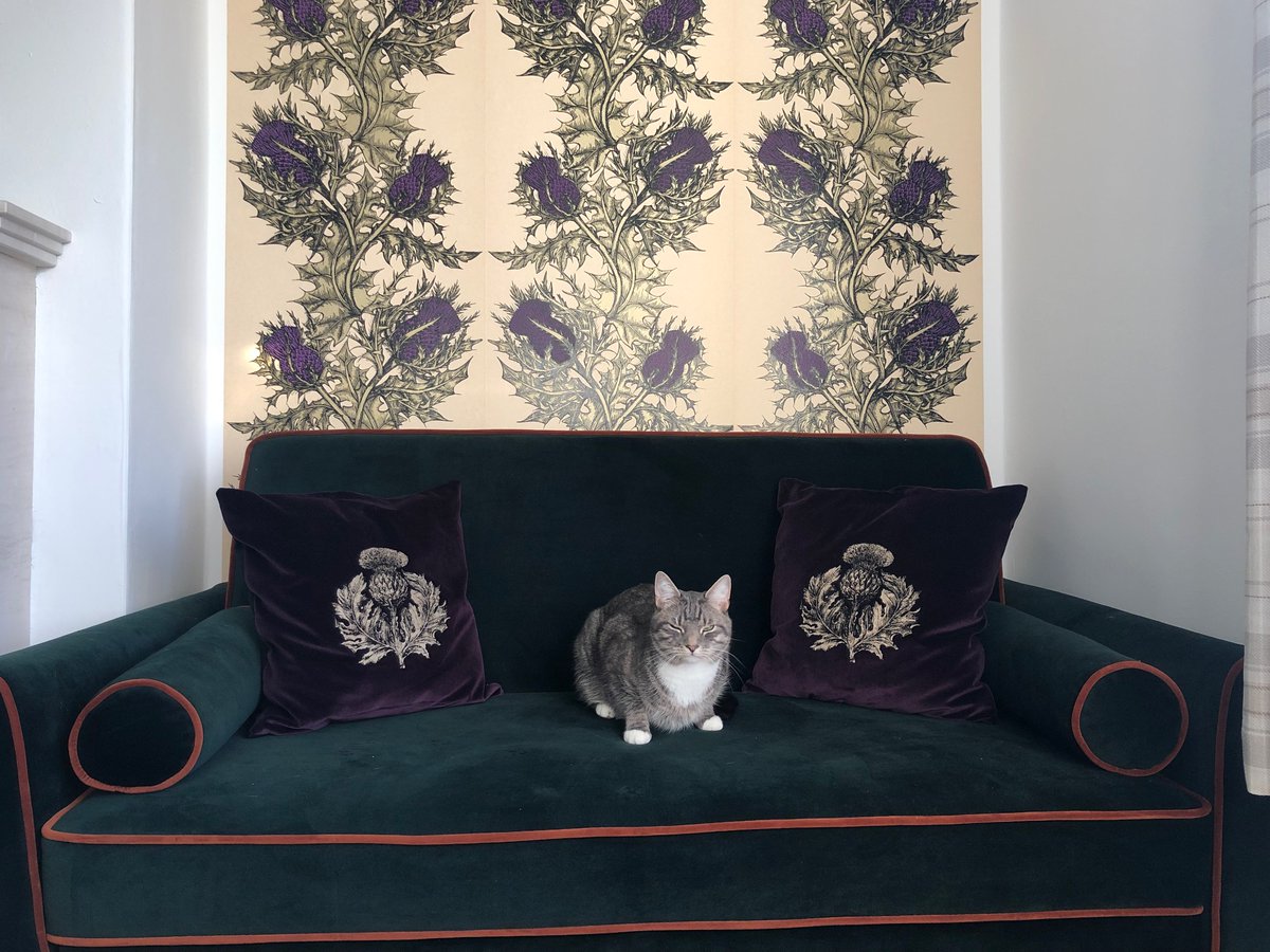 aish_aliii's tweet photo. The best model showing off our feature wall 🥰 @TBeasties https://t.co/ePhuln1xmy