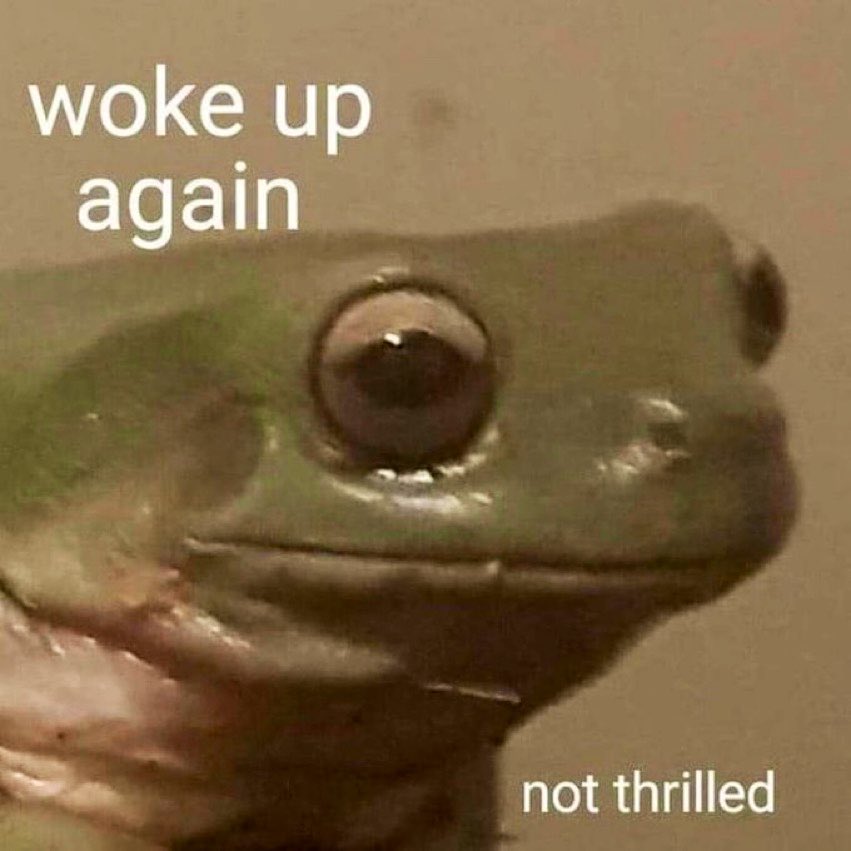 e-xiii (@exiii_v) on Twitter photo 