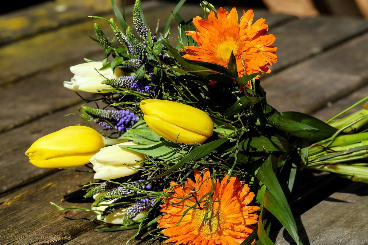 Thank you, <a href="/lisabuffaloe/">Lisa Buffaloe</a>, for RT-ing!!