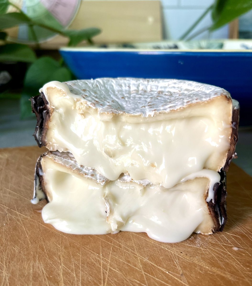 Cheesemonster tweet media