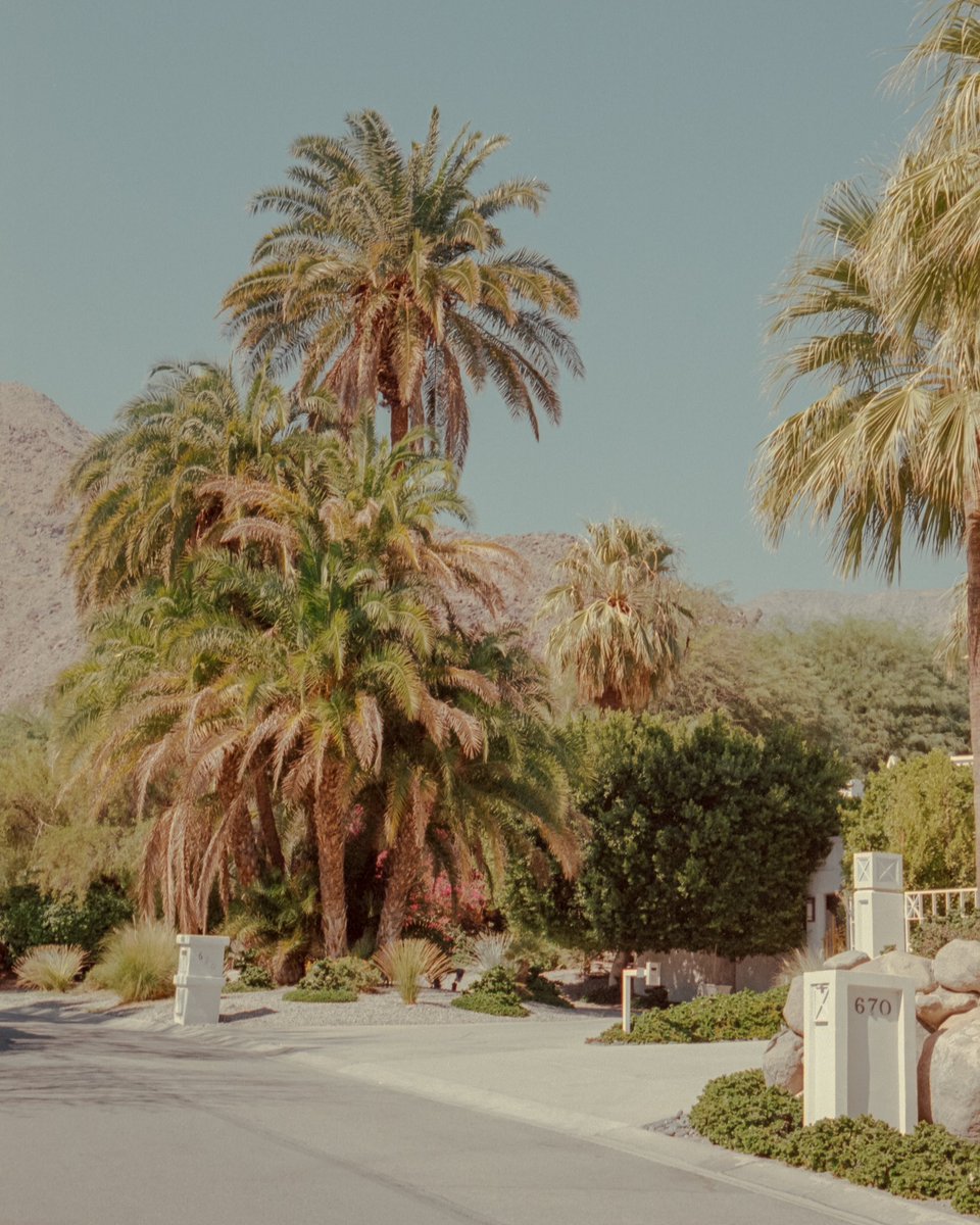 Instagram isn’t letting me post so here I am, again. Gm 😅
#portra400 #kodak #filmisnotdead