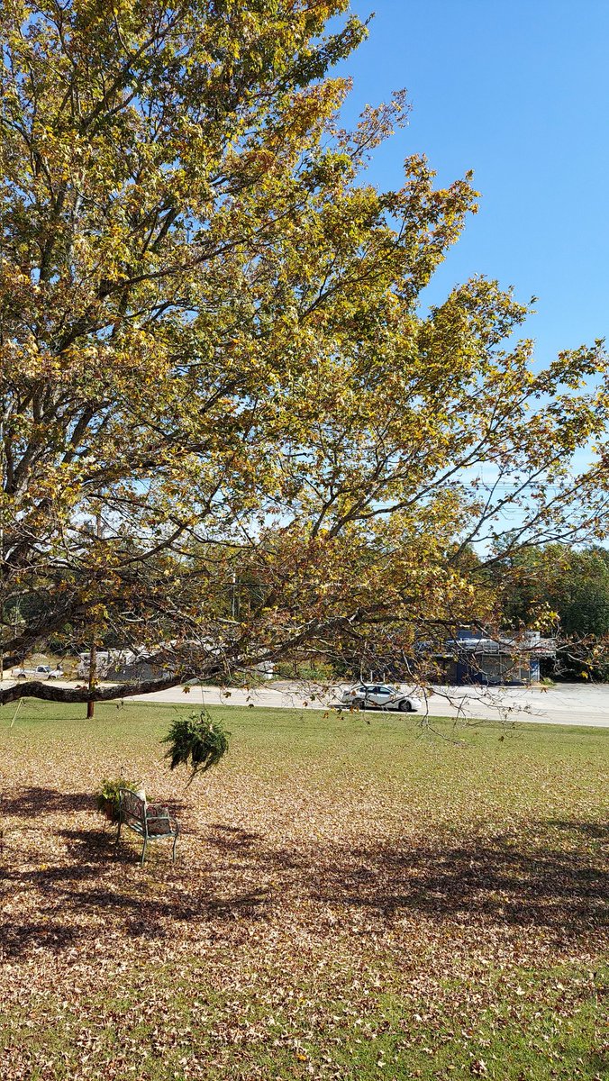 TransMachWork's tweet image. Enjoying my last day off before I start my new job @StrPlasticsWork in Williamston South Carolina on Monday morning. It is a great day to watch @NFL football as well.