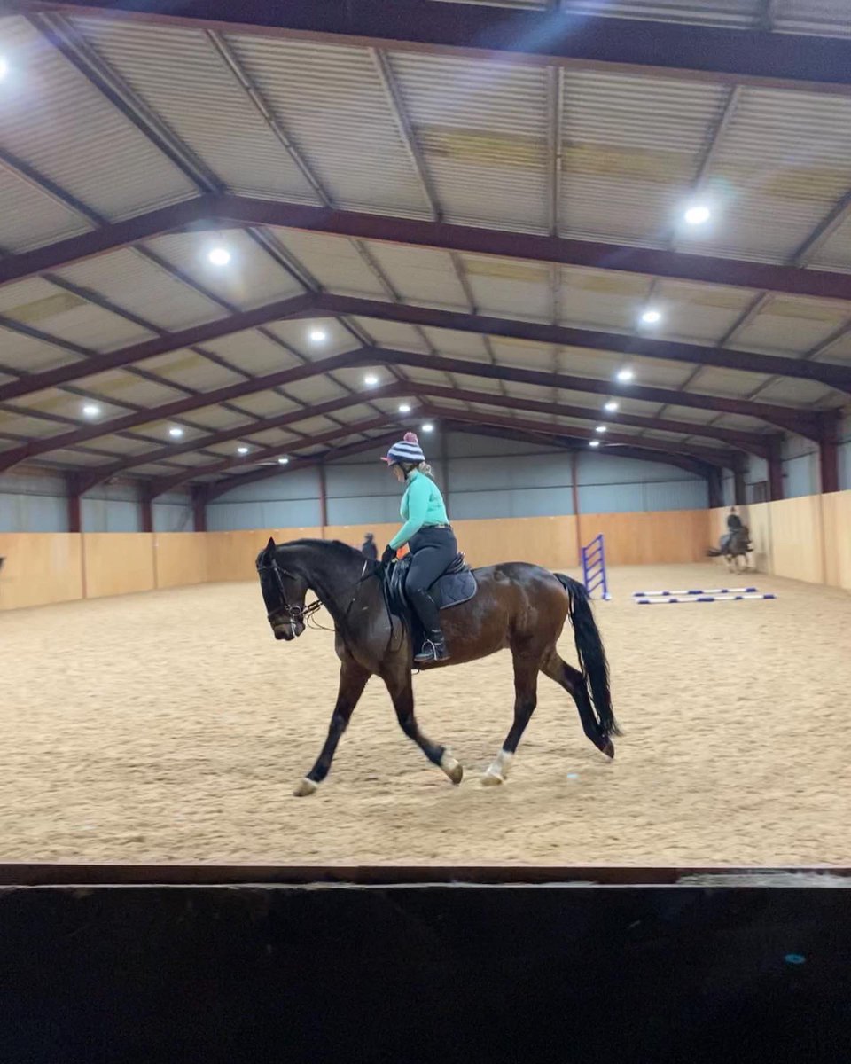 MissPSheffield's tweet photo. A Sunday with ponies is a Sunday well spent if you ask me, and much needed after a busy week with enhancement days and uni 🐴🤍 https://t.co/r53K0lmUjc