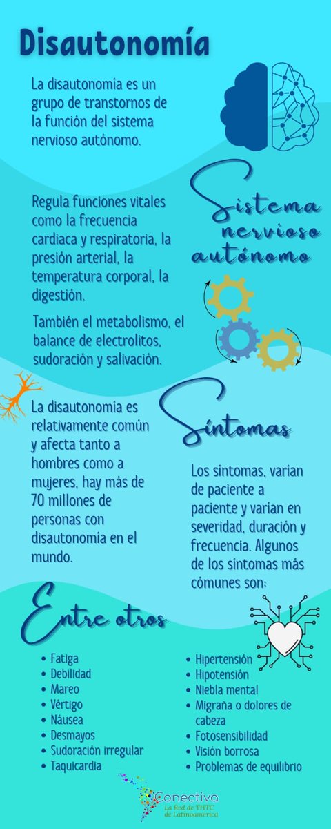 conectiva_lat's tweet photo. Octubre es el mes de concienciación de la #Disautonomía. Conóce más sobre estos síntomas que pueden estar asociados con los Trastornos Hereditarios del tejido Conectivo. Infografía realizada para https://t.co/V6PgpMOD0n por «Hablemos de Ehlers-Danlos Colombia». @AEPOD_es https://t.co/WzsxnvxBrU