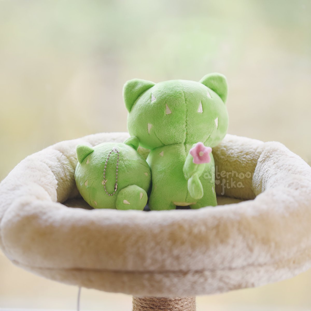 🌵 Catcus family plush giveaway! 🐱

💚 RT + follow us for a chance to become catci parents!
💚 Ships internationally
💚 Giveaway ends 23/10