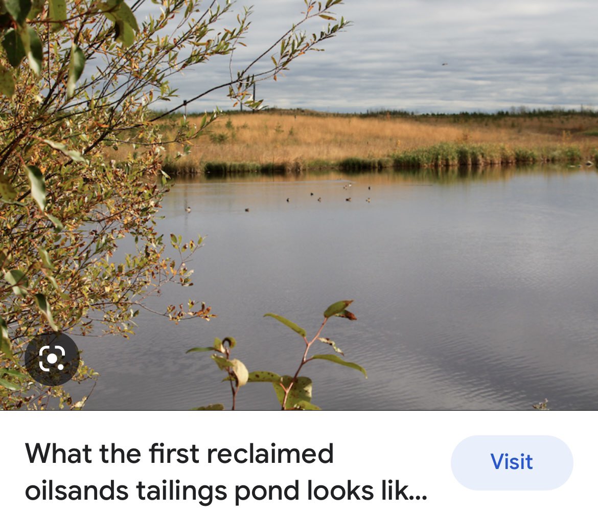 Crockatteer's tweet photo. You mean like this private conservation project @s_guilbeault? #ftmac #ymm #newideas https://t.co/RrPgrt8J1c https://t.co/CUmN5xbnQm