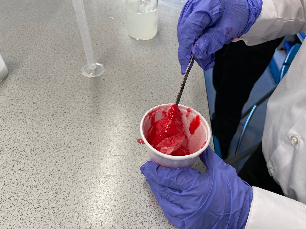 LRGSScienceClub tweet picture