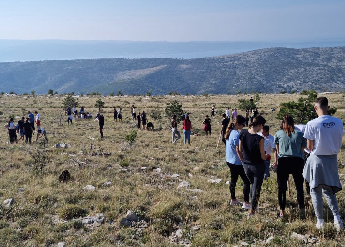 AndreaErcegovac's tweet photo. At the 33rd voluntary post-fire reforestation action #Boranka on Mosor mountain.
My daughter did her part with colleagues from renewables.
Smells like team spirit 🌲🌲🌲🌳🌳🌳
#Mosor #Croatia #reforestation #energy #renewables https://t.co/rEiIjlR59p