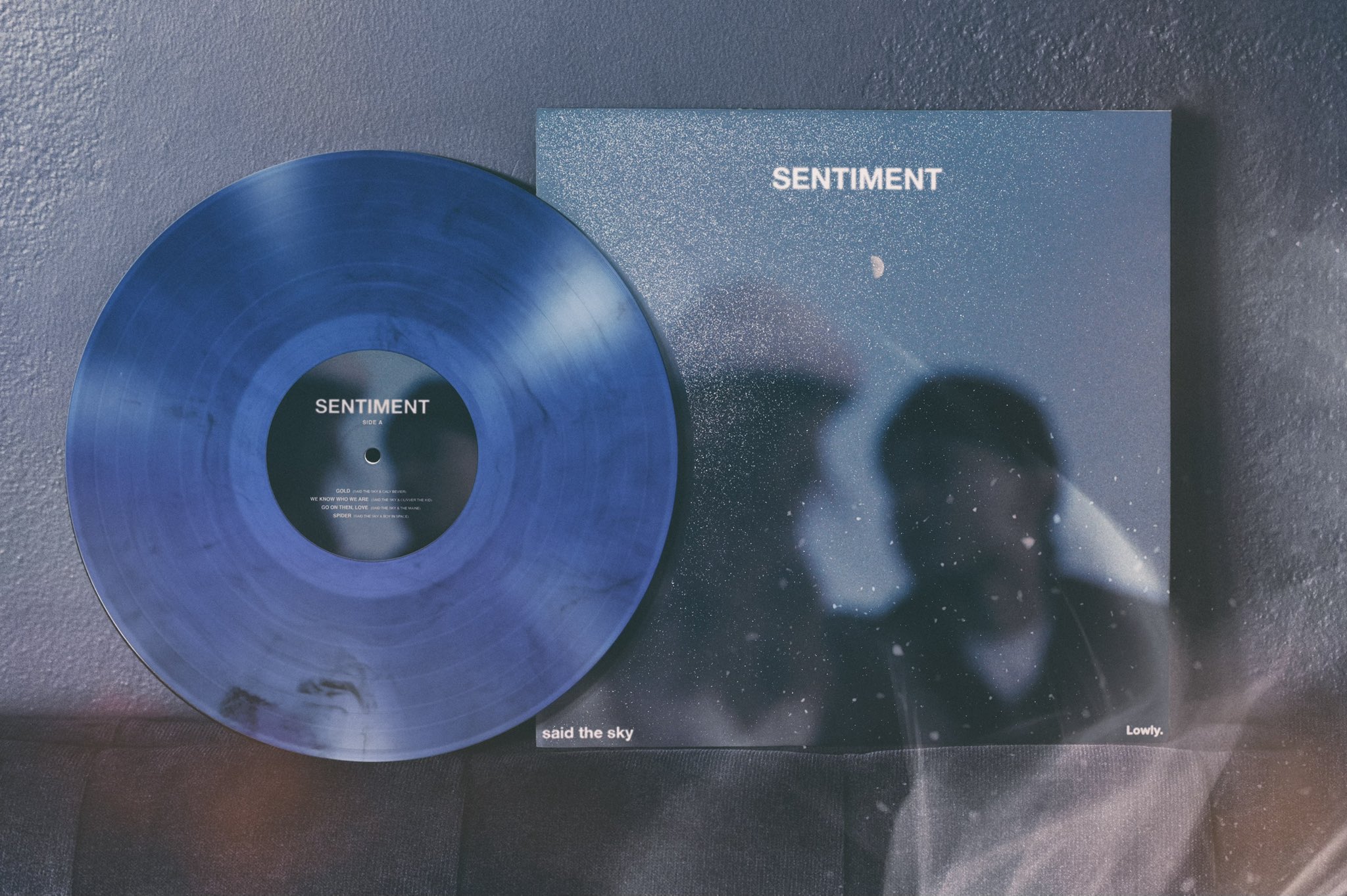 Said The Sky on Twitter: "Sentiment vinyl pre-order is LIVE 🌙 This blue marble 2-disc vinyl will be a one-time pressing so to give everyone the chance to get one we