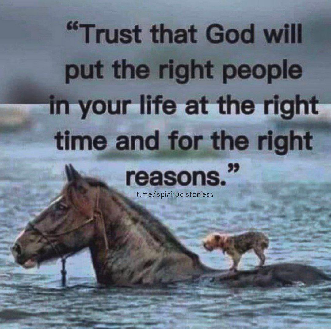 TheApacheLebowski tweet media