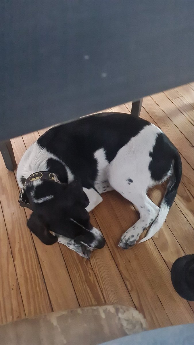 lmm0605's tweet photo. @FloorenciaL Hice mismo planteo https://t.co/sAS5OnKhoT