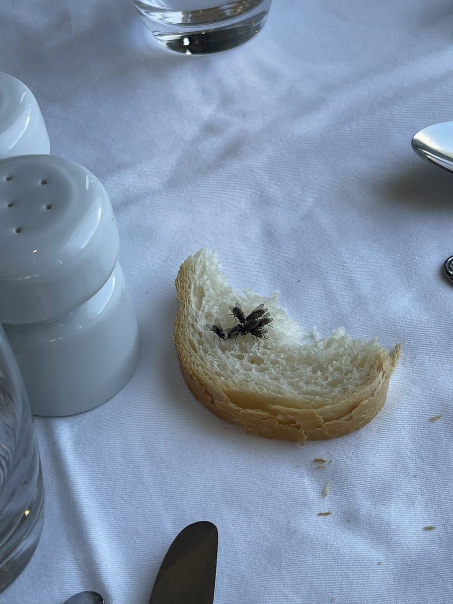 teddypugs's tweet photo. @TUIUK sort it out https://t.co/pkzV8Me6QN