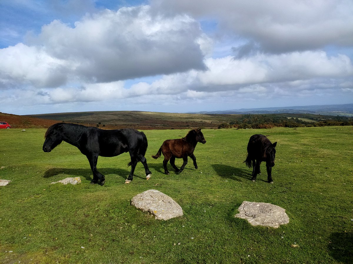 peteDisney's tweet photo. Date no.4, a little trip to Haytor and then a little visit to the cinema to watch Hocus Pocus #hike #haytorrocks #HocusPocus https://t.co/RHsZDmcLEC