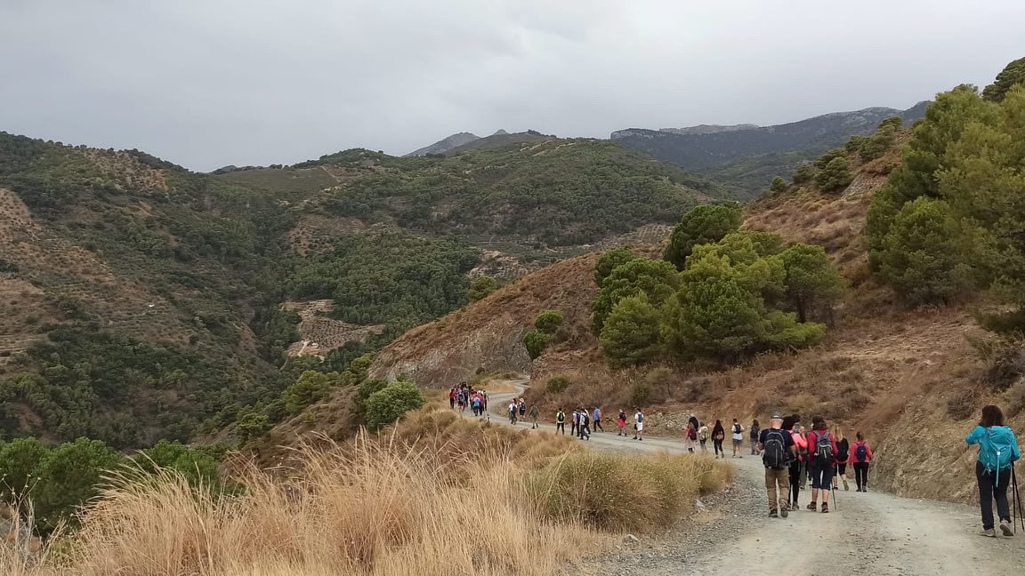 GranSendaMalaga's tweet photo. Hoy hemos vuelta a los senderos de otoño en @GranSendaMalaga . Esas rutas interpretativas sobre el territorio que tanto echabais de menos! #senderismo #hiking #treeking #malaga #visitmalaga https://t.co/ZvVv1ROVV0
