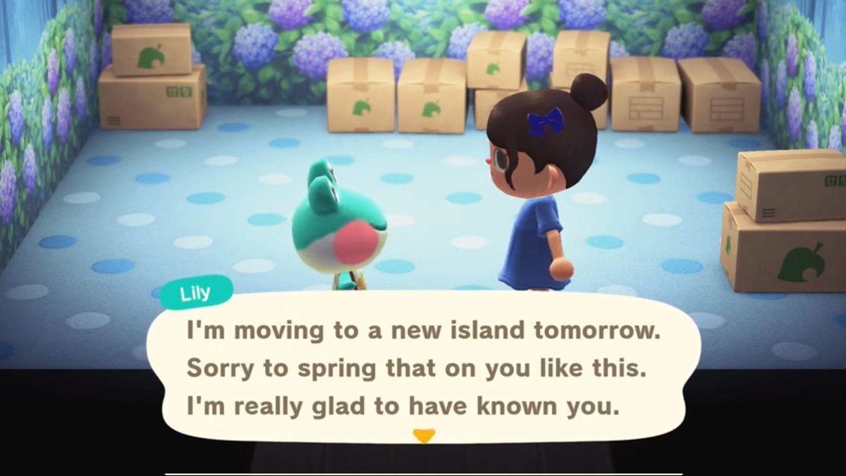 Ellis Ates tweet media