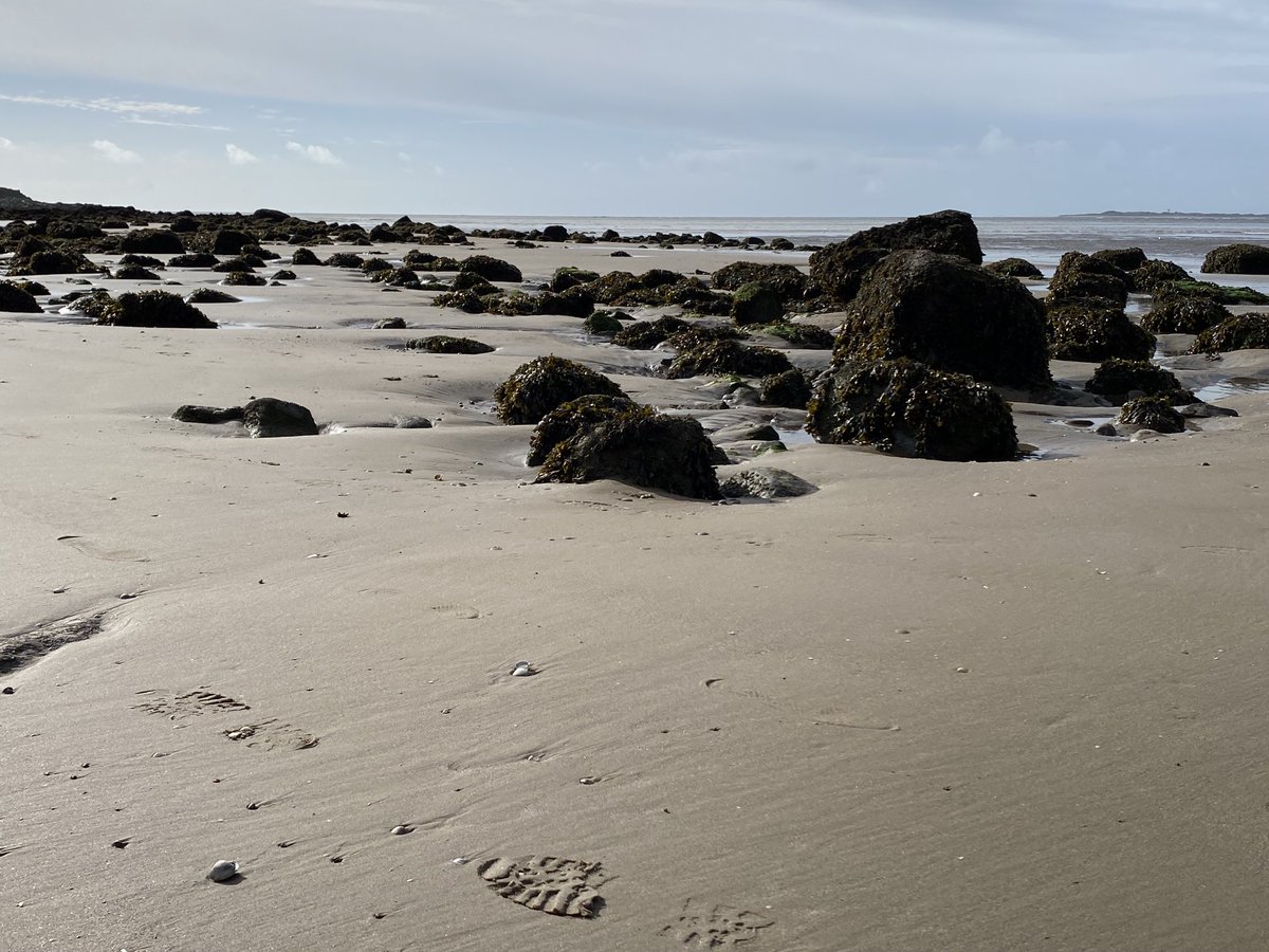 #BEACHES #Please just leave your 🦶 prints and take anything else you brought with you home 👍🤓🐬