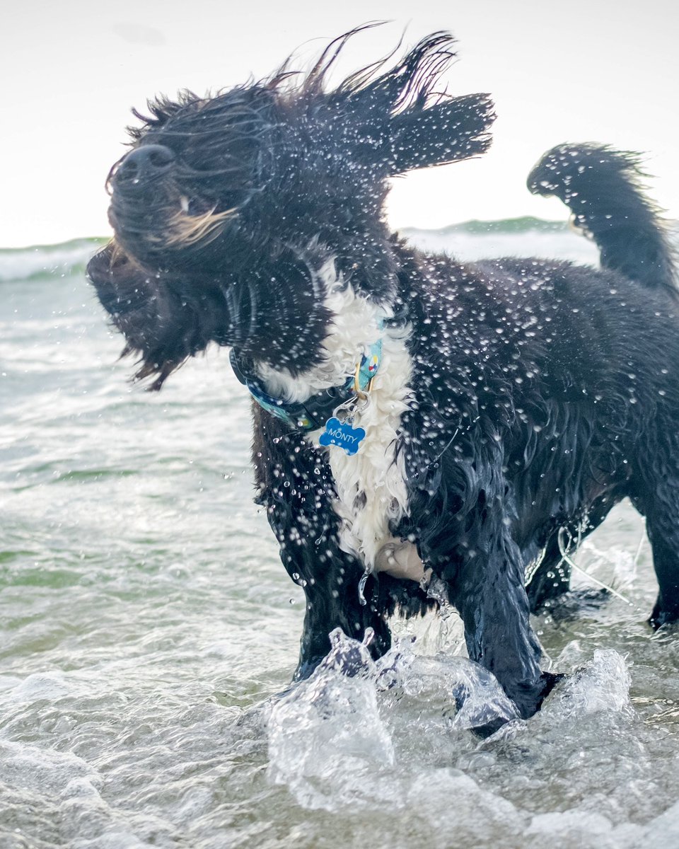 Rab Wyant 〄 (@rabwyant) on Twitter photo 