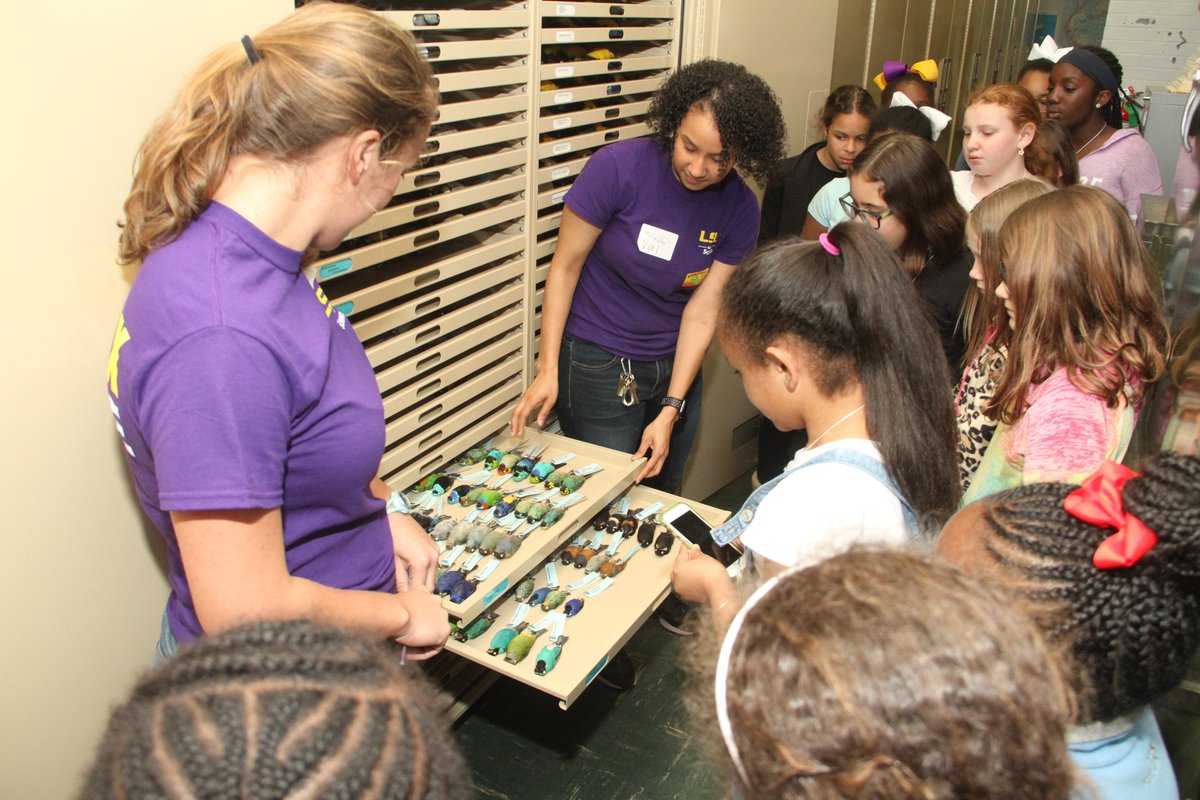 Happy #BlackInNHMs Week 2022! #RollCall I am a science outreach coordinator for <a href="/lsuscience/">LSU College of Science</a> and was formerly the outreach coordinator for the <a href="/LSU_MNS/">LSU Museum of NatSci</a>! I am passionate about getting people excited about science and broadening participation in the natural sciences. #MuseumFriends