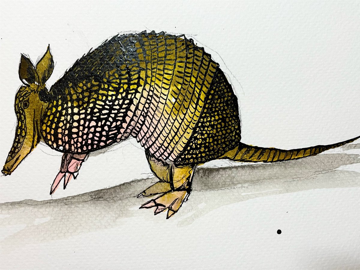 Meg_G_author's tweet image. Another #inktober2022 finished on this #lazysunday with a side of creative energy. My little #armadillo is out for a stroll. #inktober2022day15 #inktober2022armadillo