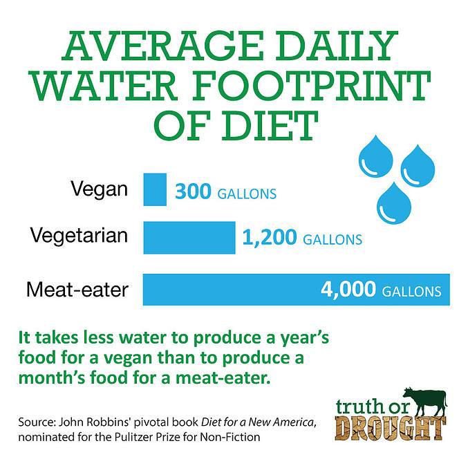 Here’s a few gallons of facts to swim in. #govegan 💦🌱