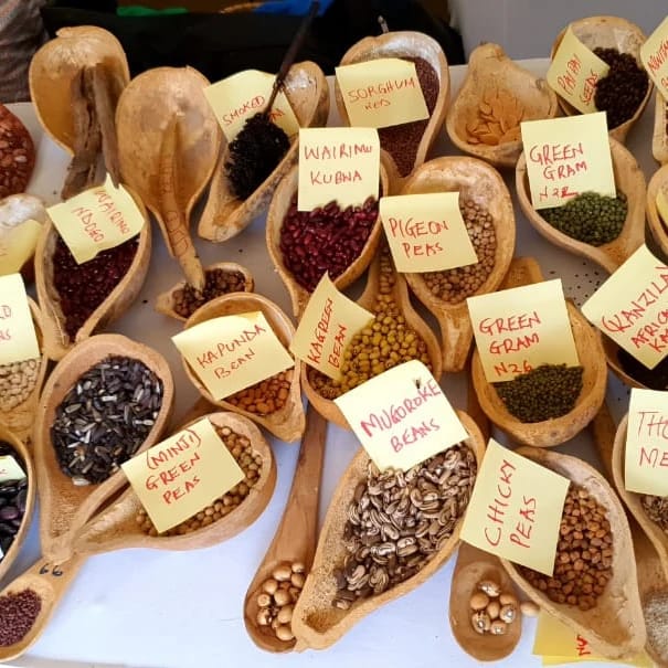BIBA_Kenya's tweet photo. Happy World Food Day to you all 😊!!!! 

In a time where global food systems are at risk due to Climate change we can always rely on the resilience of our Indigenous Seed varieties and Agroecology as our way out of this Catastrophe 
#worldfoodday #seedoflife #OurSeedOurLife https://t.co/mzQDOyft5D