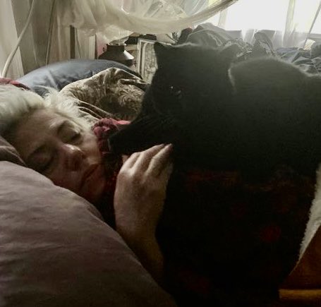 FELINEORACLE1's tweet photo. On Sundays we rest. Or the Interpreter tried to rest until the Oracle calls a meeting.. #yourfamiliarisspeaking #MoochtheOracle #witches https://t.co/isRmDktwDk