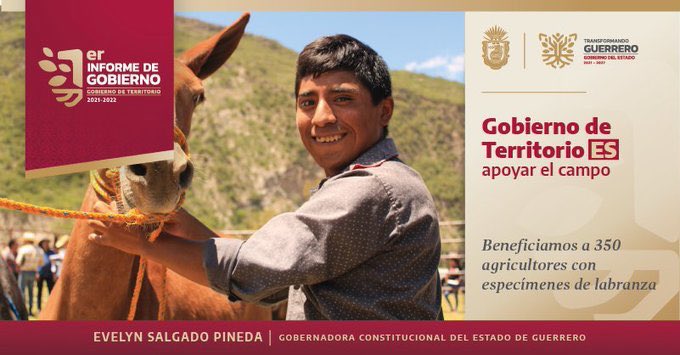 ContraloriaGro's tweet photo. #GobiernoDeTerritorio ES rescatar al campo de Guerrero de la condición de abandono en la que se encontraba, contribuyendo al crecimiento económico de los agricultores, entregando así especímenes mulares para facilitar la siembra. https://t.co/ccLdTjBbFh