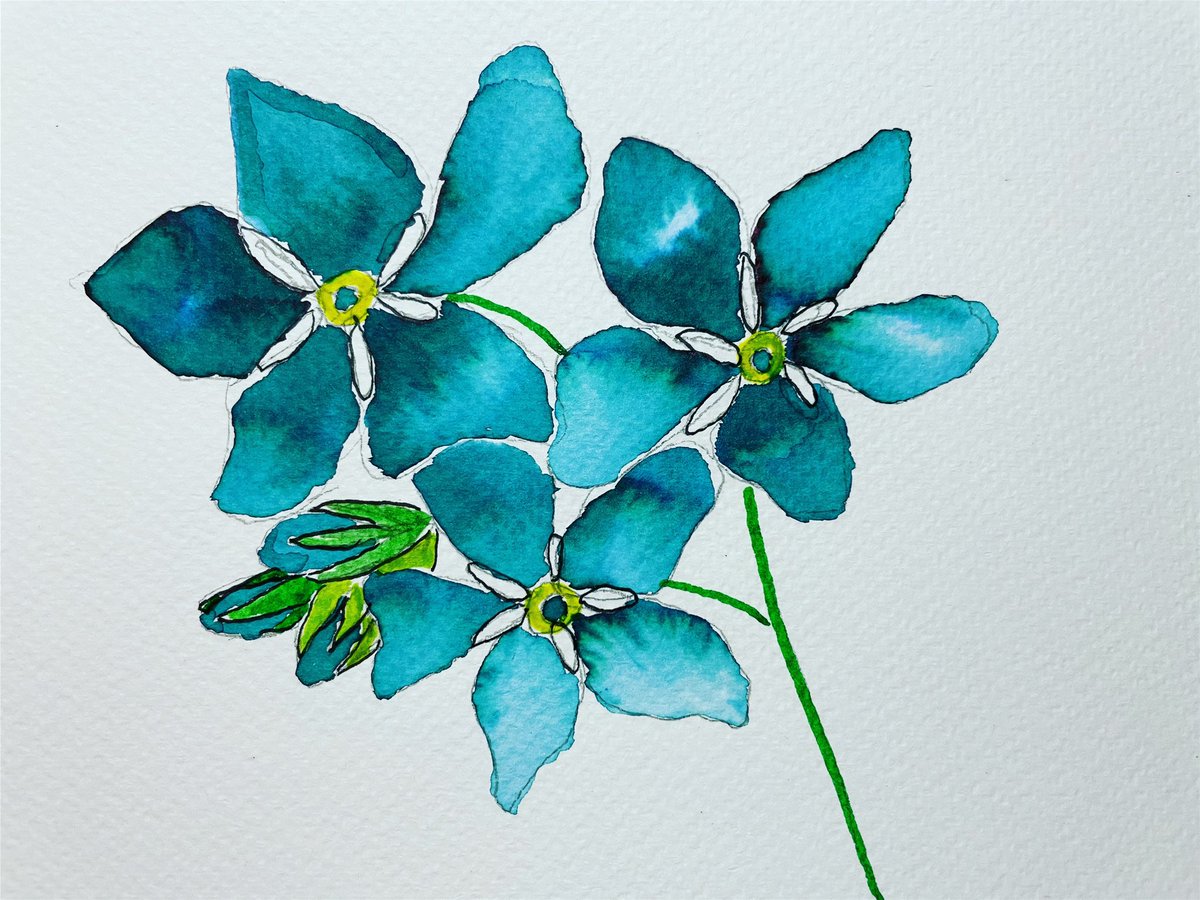 Meg_G_author's tweet image. Another #inktober2022 and for #forget I decided to do #forgetmenot #flowers #inktober2022day12 #inktober2022forget