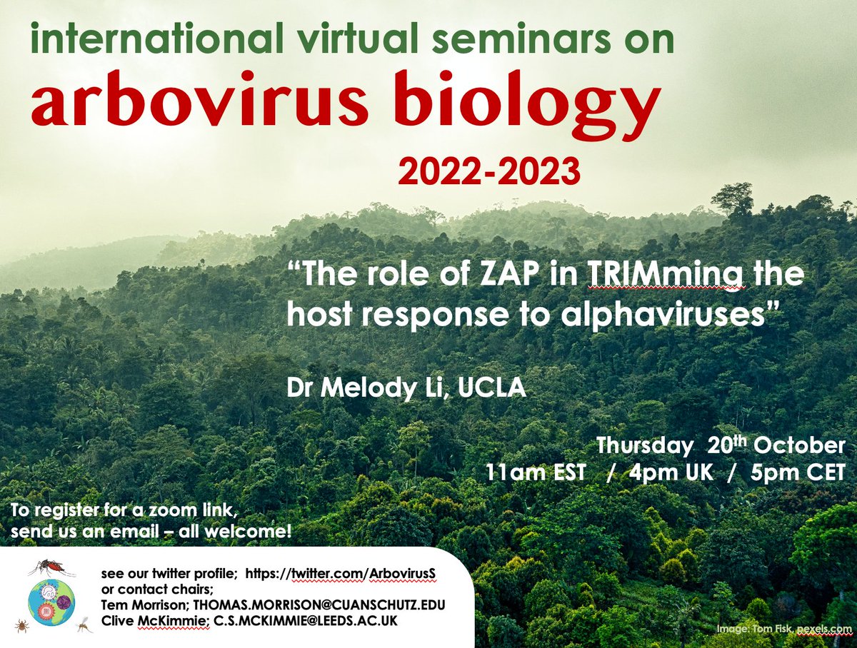 First seminar of the series THIS THURSDAY, featuring the exciting research of Dr Melody Li from <a href="/UCLA/">UCLA</a> with her talk 
"The role of ZAP in TRIMming the host response to alphaviruses" 
#innate_immunity #host_virus_interactions #mosquito_borne_viruses
See you there and 🙏 for RTs
